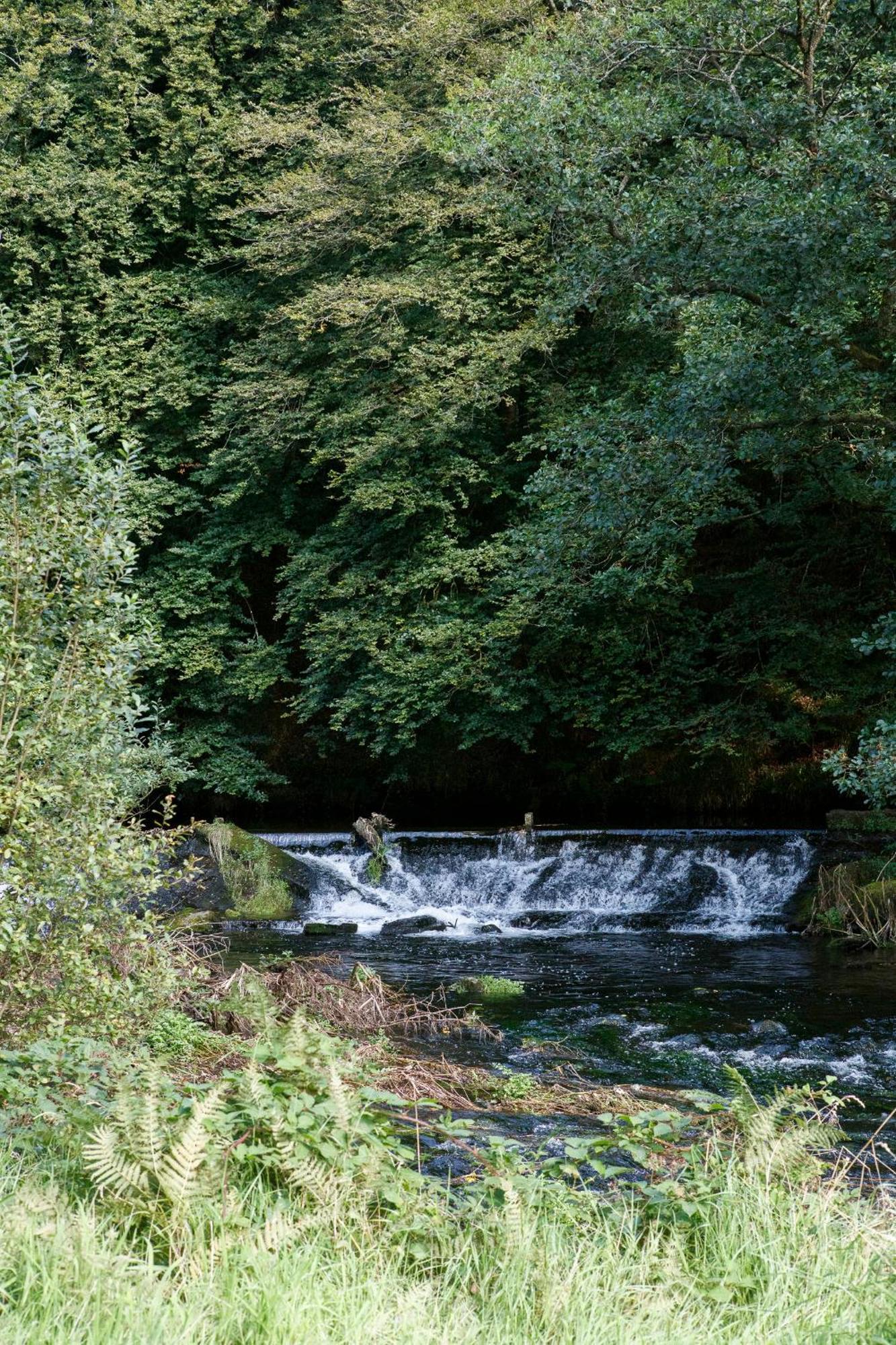Dripsey Castle Estate Villa Cork Kültér fotó