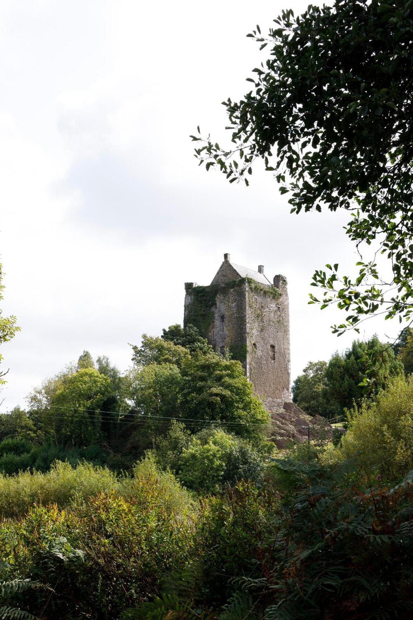 Dripsey Castle Estate Villa Cork Kültér fotó