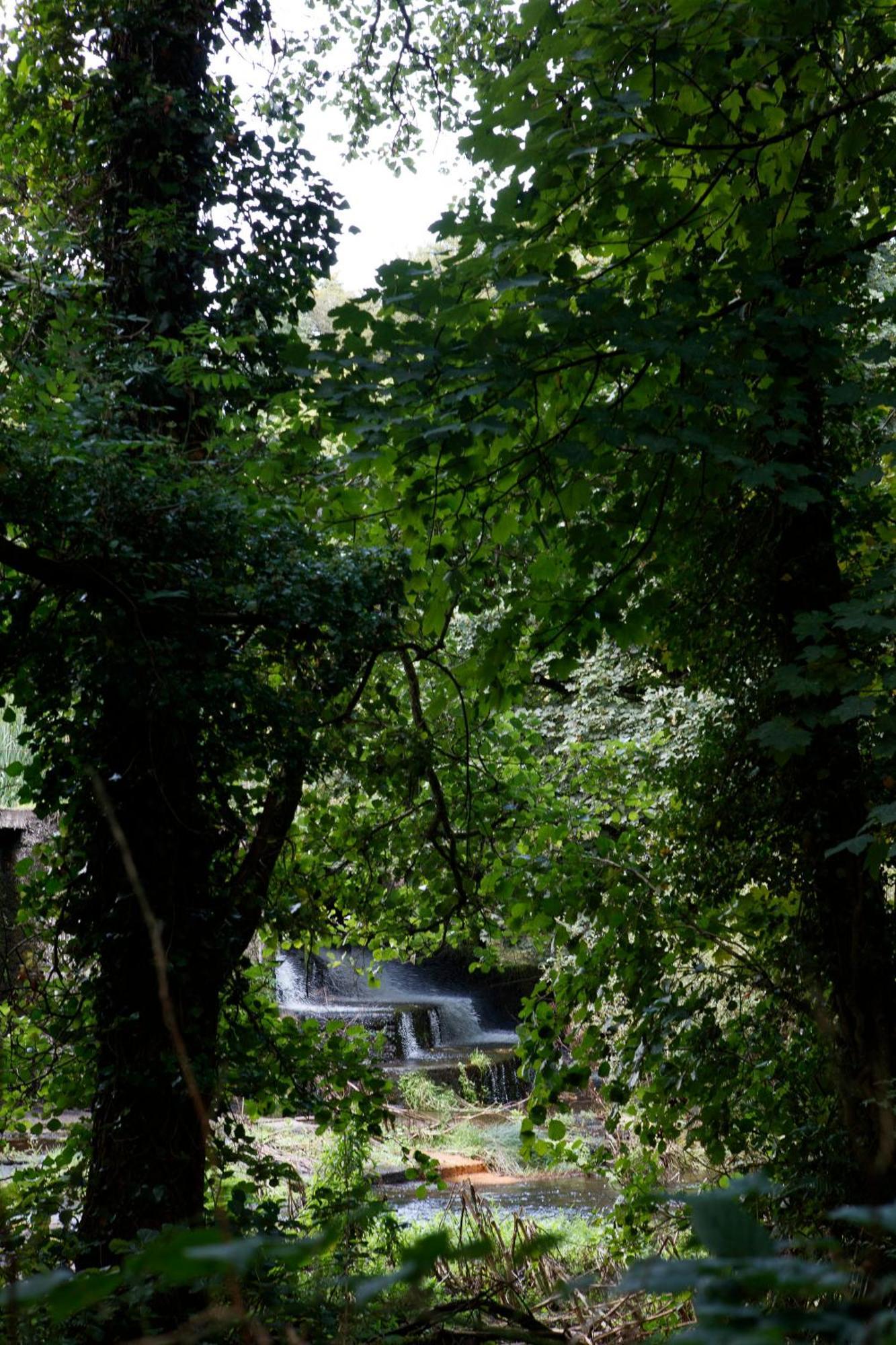 Dripsey Castle Estate Villa Cork Kültér fotó