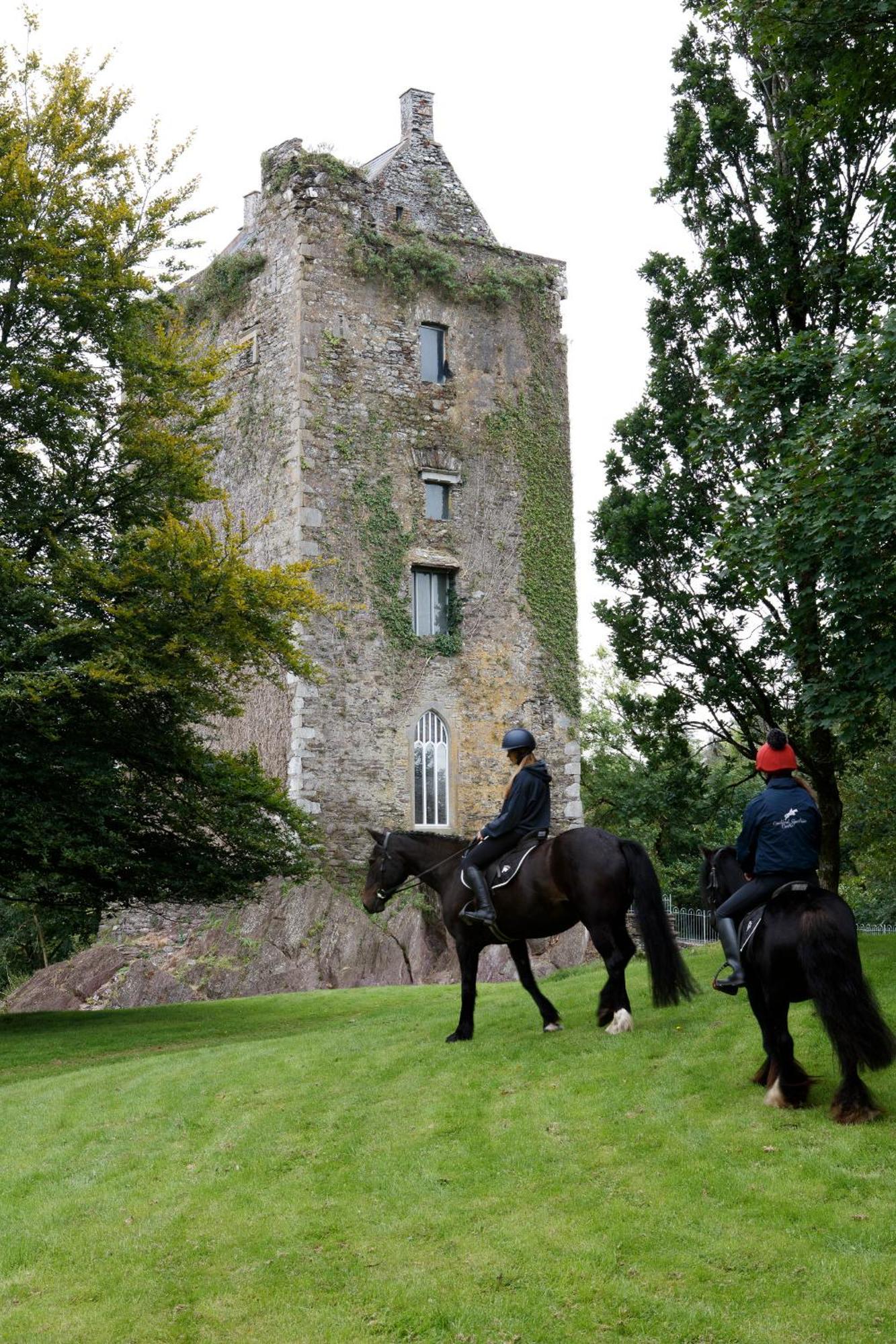 Dripsey Castle Estate Villa Cork Kültér fotó