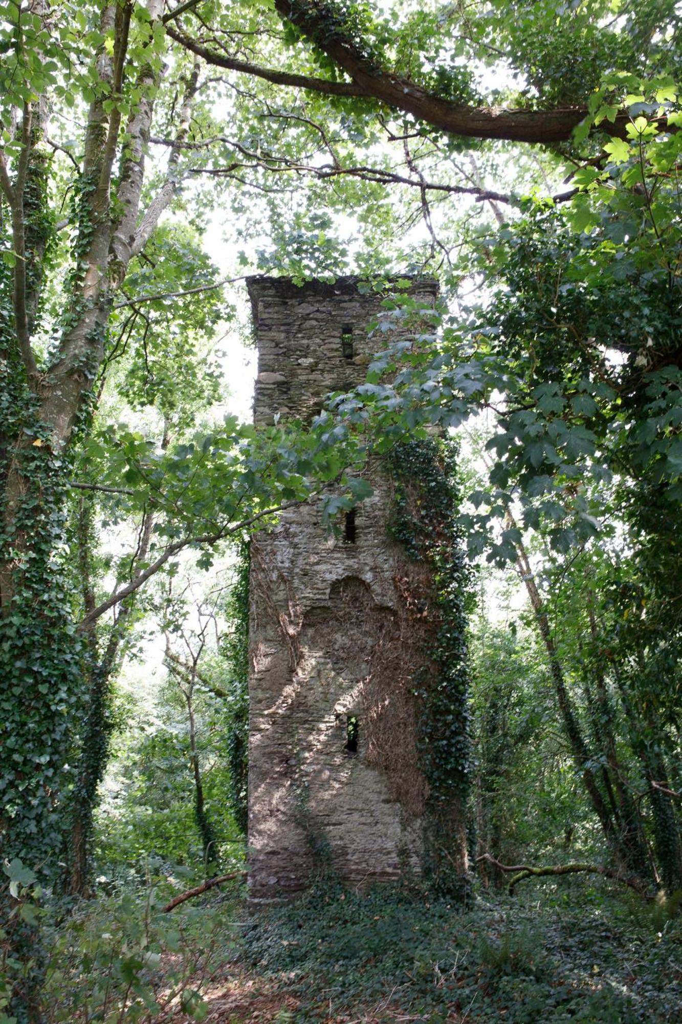 Dripsey Castle Estate Villa Cork Kültér fotó